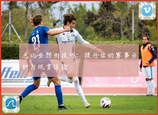 总比分预测技巧：提升你的赛事分析与观赏体验
