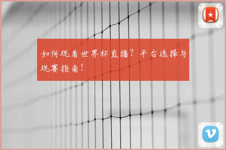 如何观看世界杯直播？平台选择与观赛指南！