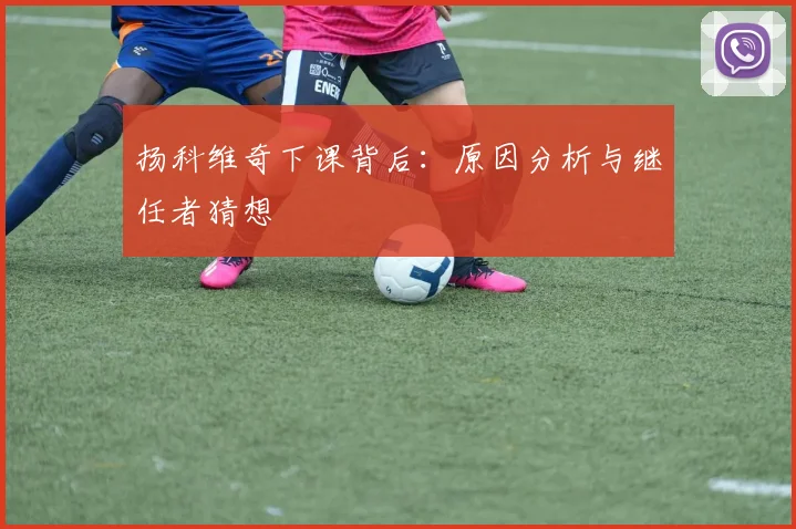 扬科维奇下课背后：原因分析与继任者猜想