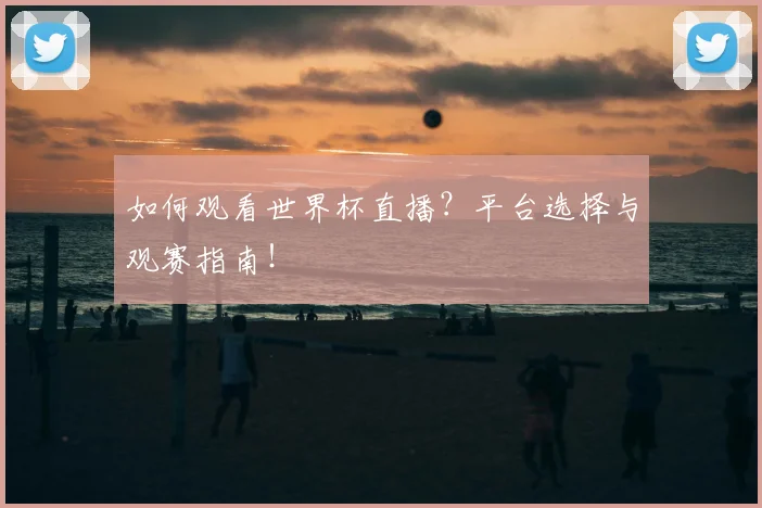 如何观看世界杯直播？平台选择与观赛指南！